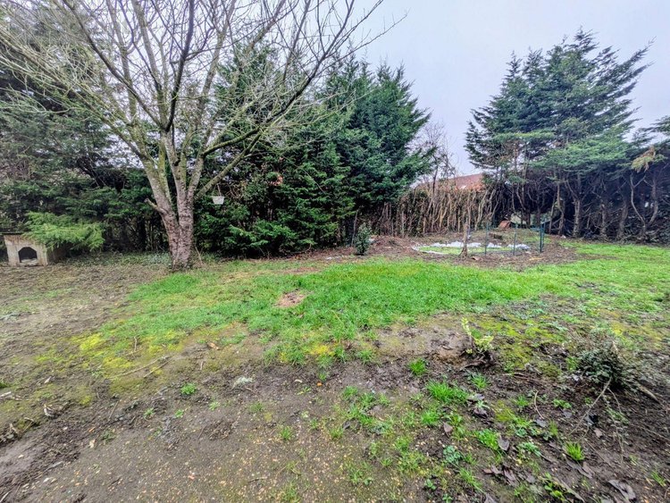 Maison a vendre Wormhout 59470 Nord 87 m2 5 pièces 181076 euros