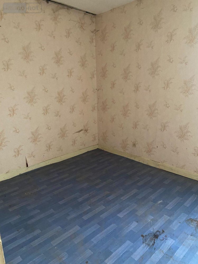 Maison a vendre Bayard-sur-Marne 52170 Haute-Marne 60 m2 4 pièces 23600 euros