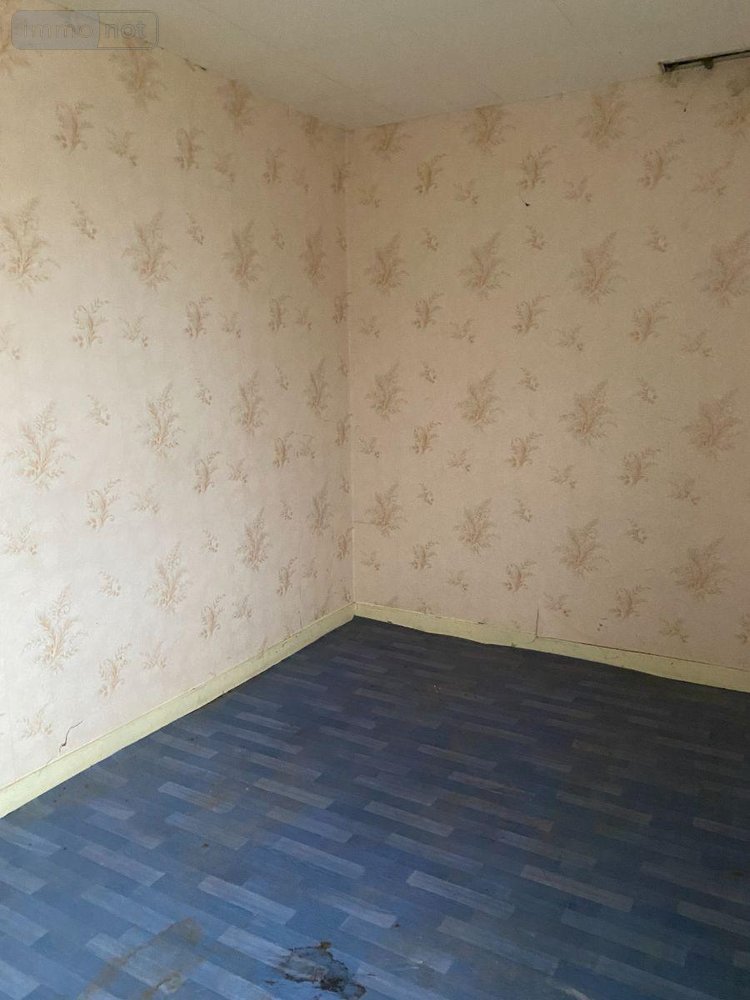 Maison a vendre Bayard-sur-Marne 52170 Haute-Marne 60 m2 4 pièces 23600 euros