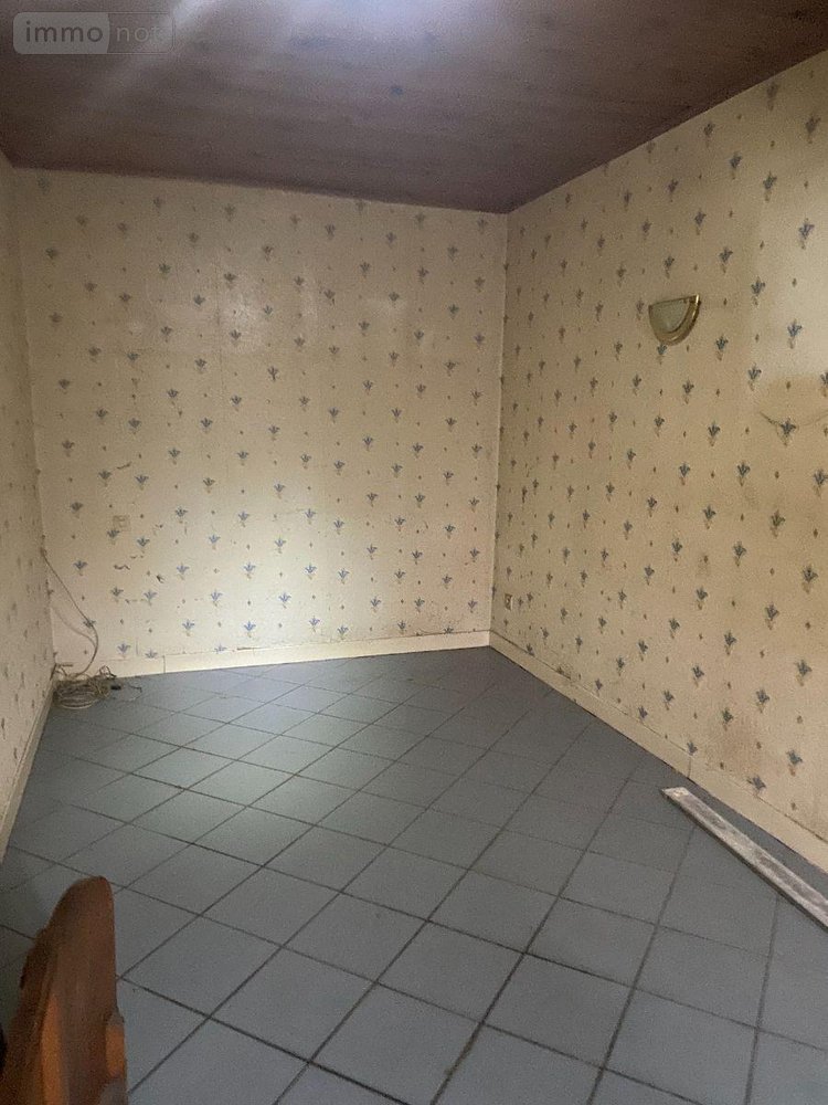 Maison a vendre Bayard-sur-Marne 52170 Haute-Marne 60 m2 4 pièces 23600 euros