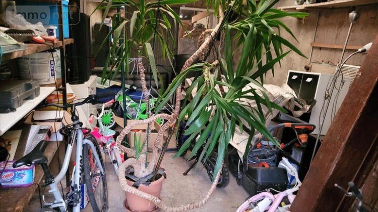 Maison a vendre Elbeuf 76500 Seine-Maritime 53 m2 2 pièces 136500 euros