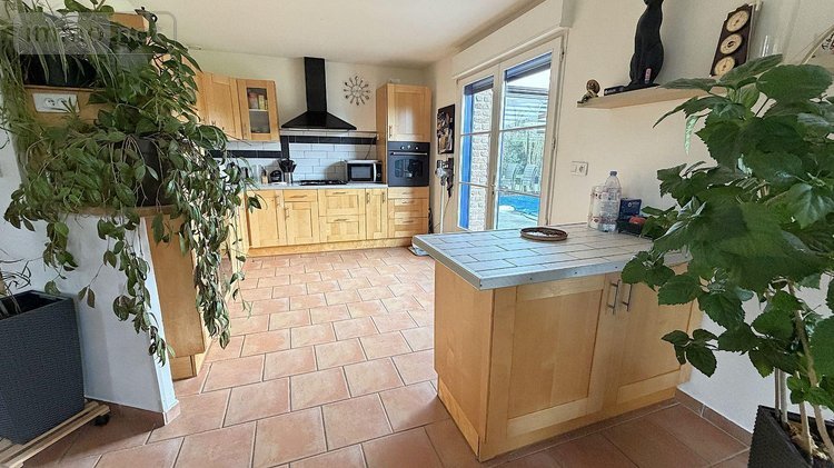 Maison a vendre Ledringhem 59470 Nord 155 m2 5 pièces 499990 euros