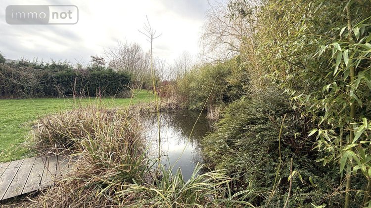 Maison a vendre Ledringhem 59470 Nord 160 m2 5 pièces 499990 euros