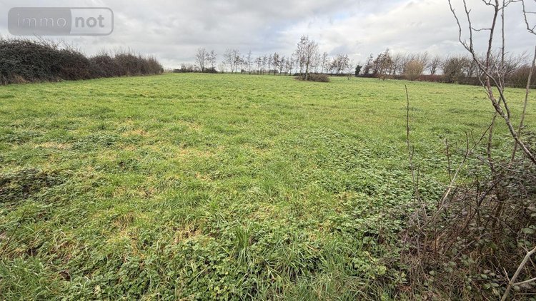 Maison a vendre Ledringhem 59470 Nord 160 m2 5 pièces 499990 euros