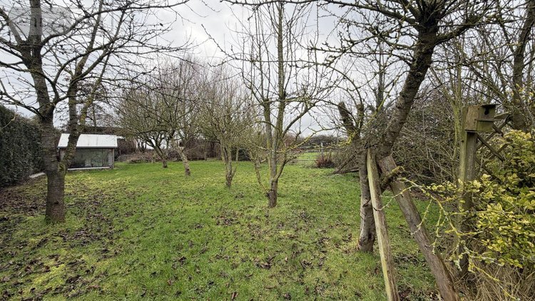 Maison a vendre Ledringhem 59470 Nord 160 m2 5 pièces 499990 euros