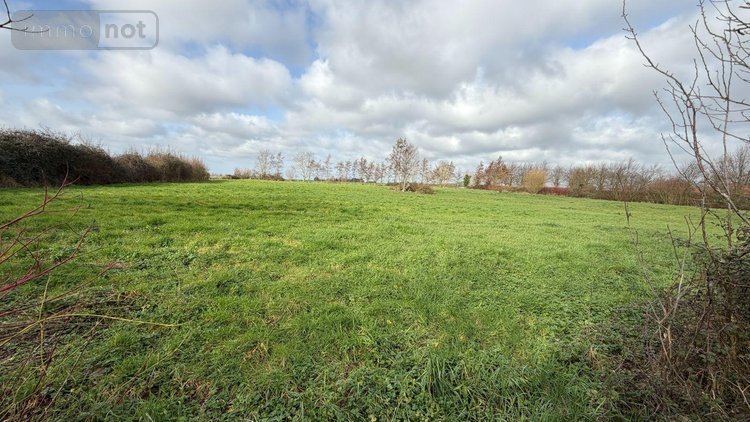 Maison a vendre Ledringhem 59470 Nord 155 m2 5 pièces 499990 euros