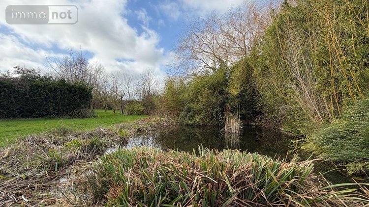 Maison a vendre Ledringhem 59470 Nord 155 m2 5 pièces 499990 euros