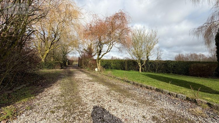 Maison a vendre Ledringhem 59470 Nord 155 m2 5 pièces 499990 euros