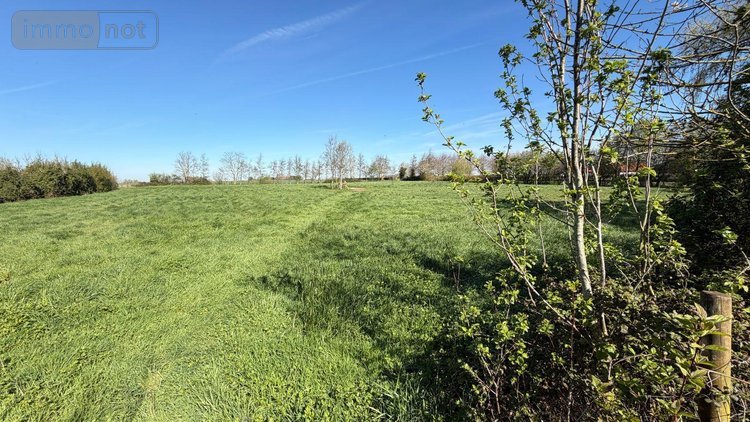 Maison a vendre Ledringhem 59470 Nord 155 m2 5 pièces 499990 euros