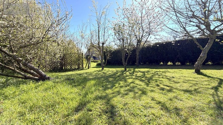 Maison a vendre Ledringhem 59470 Nord 155 m2 5 pièces 499990 euros
