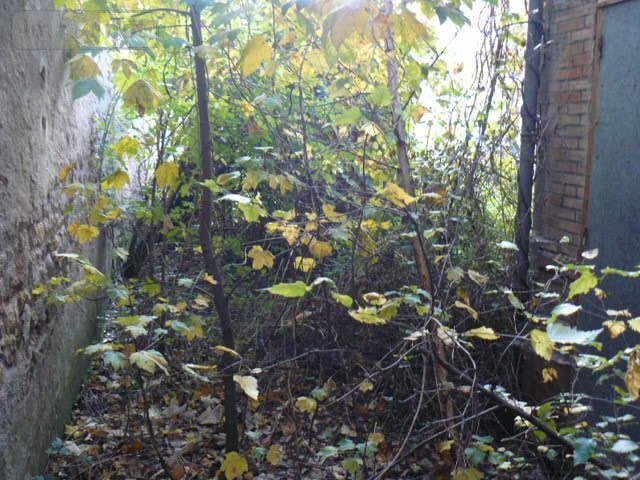 Immeuble a vendre Raon-l'Étape 88110 Vosges 135 m2  62000 euros