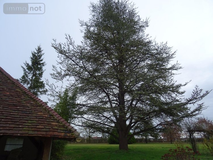 Maison a vendre Saint-Martin-de-Lamps 36110 Indre 71 m2 4 pièces 116600 euros