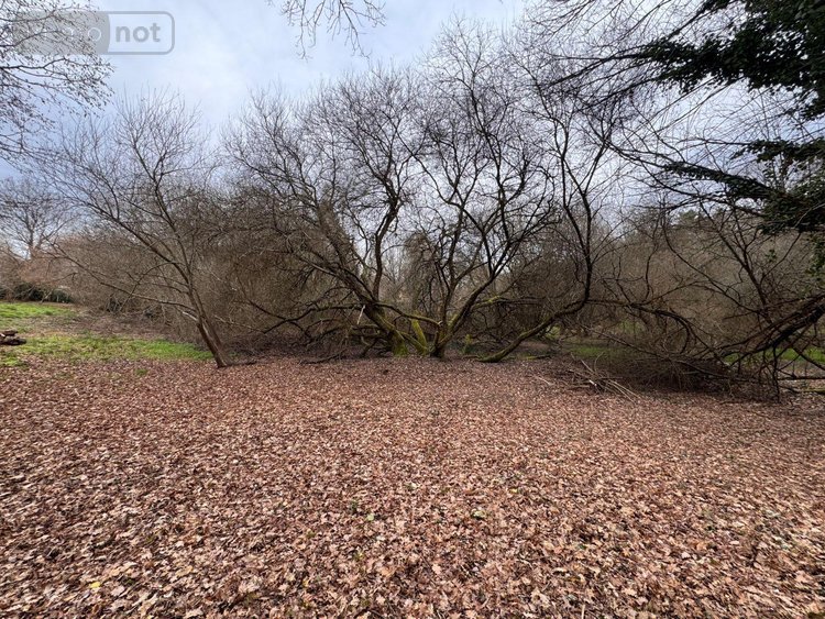 Maison a vendre Couzeix 87270 Haute-Vienne 117 m2 5 pièces 149450 euros