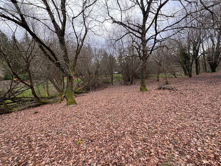 Maison a vendre Couzeix 87270 Haute-Vienne 117 m2 5 pièces 149450 euros