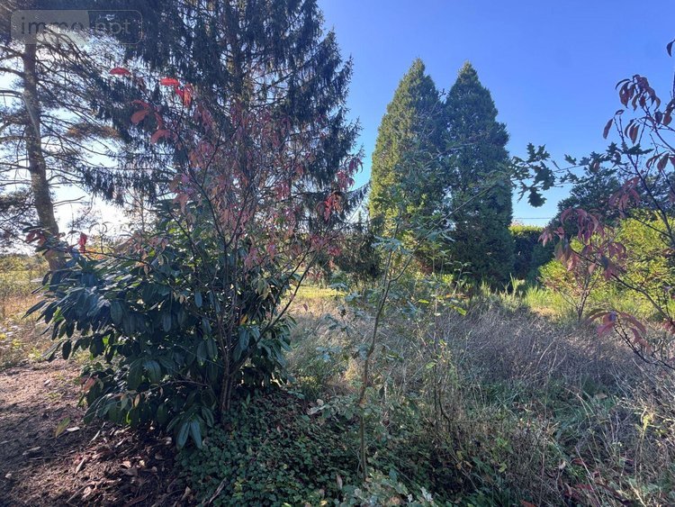 Maison a vendre Champsac 87230 Haute-Vienne 107 m2 3 pièces 96950 euros