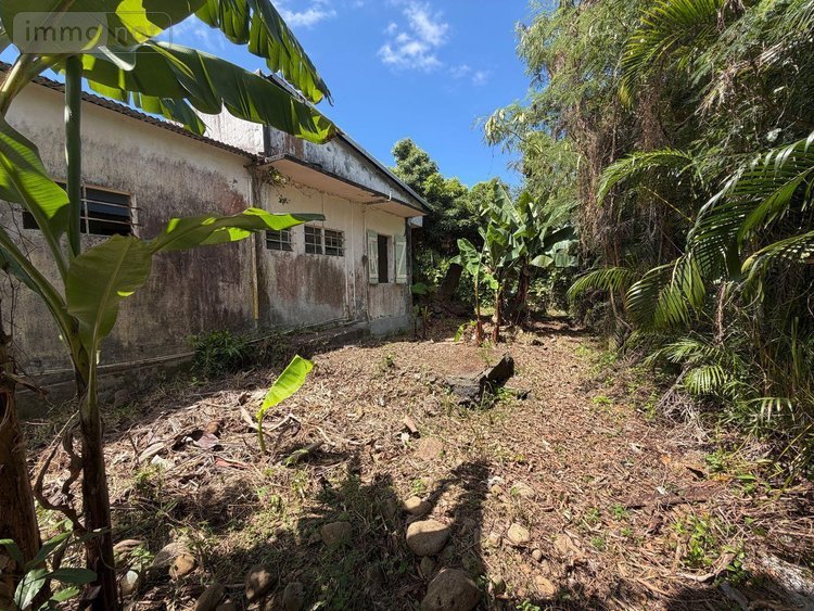 Maison a vendre Saint-André 97440 Réunion 68 m2 3 pièces 102600 euros