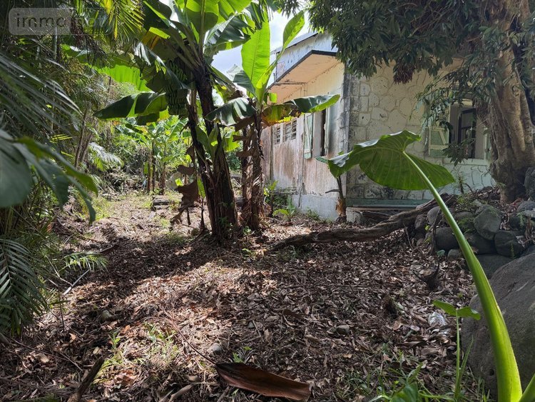 Maison a vendre Saint-André 97440 Réunion 68 m2 3 pièces 102600 euros