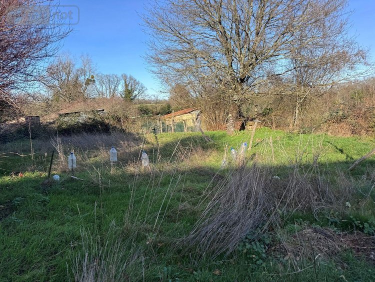 Maison a vendre Saint-Sornin-la-Marche 87210 Haute-Vienne 37 m2 2 pièces 22500 euros
