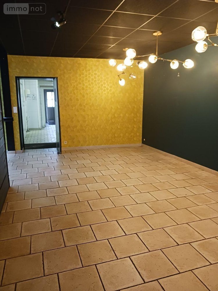 Immeuble a vendre Bar-sur-Seine 10110 Aube 660 m2  343200 euros