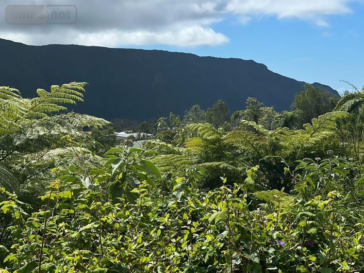 Terrain a batir a vendre La Plaine-des-Palmistes 97431 Réunion 5120 m2  411400 euros