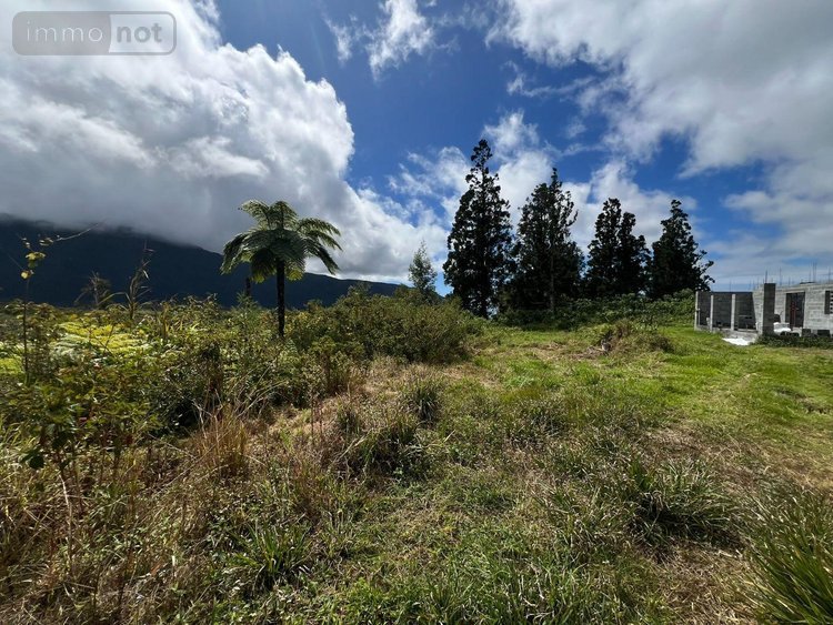 Terrain a batir a vendre La Plaine-des-Palmistes 97431 Réunion 5120 m2  411400 euros