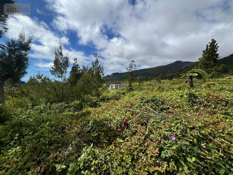 Terrain a batir a vendre La Plaine-des-Palmistes 97431 Réunion 5120 m2  411400 euros