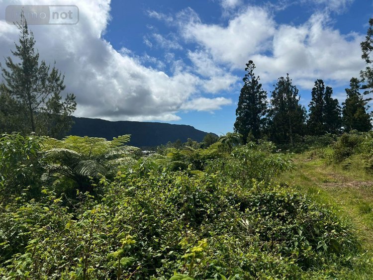 Terrain a batir a vendre La Plaine-des-Palmistes 97431 Réunion 5120 m2  411400 euros