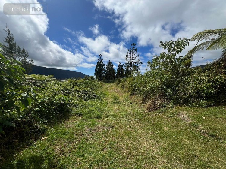 Terrain a batir a vendre La Plaine-des-Palmistes 97431 Réunion 5120 m2  411400 euros