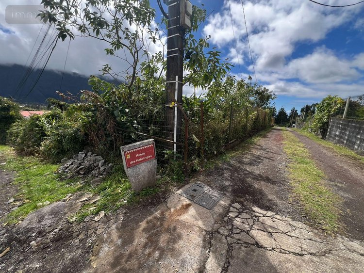 Terrain a batir a vendre La Plaine-des-Palmistes 97431 Réunion 5120 m2  411400 euros