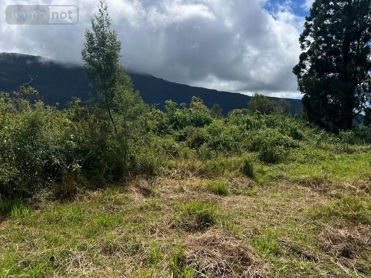 Terrain a batir a vendre La Plaine-des-Palmistes 97431 Réunion 5120 m2  411400 euros