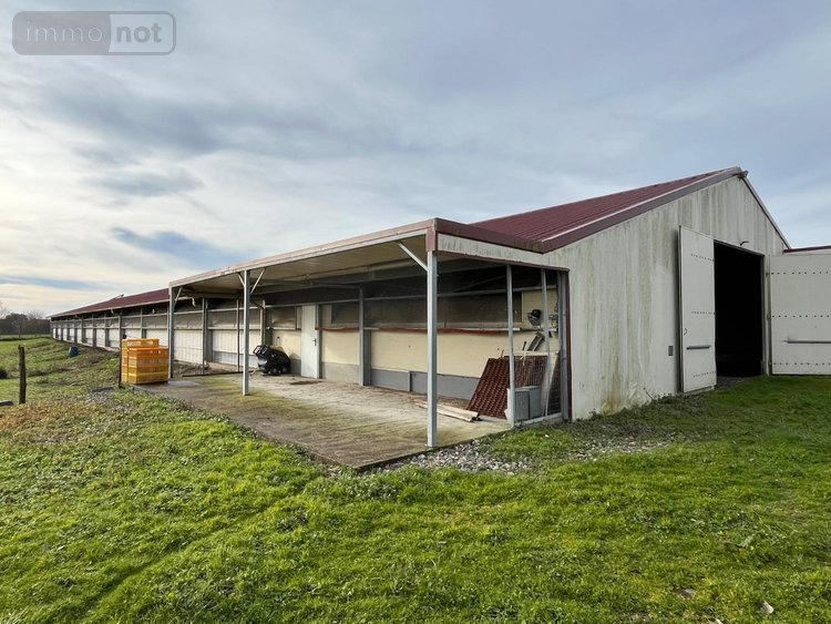 Maison a vendre Saint-Ciers-d'Abzac 33910 Gironde 164 m2 5 pièces 600000 euros