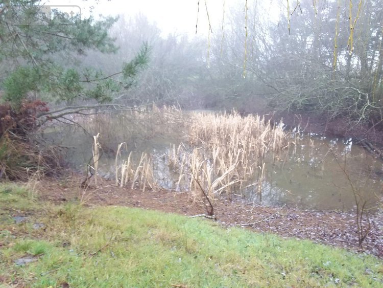 Maison a vendre Nouans-les-Fontaines 37460 Indre-et-Loire 158 m2 8 pièces 198850 euros