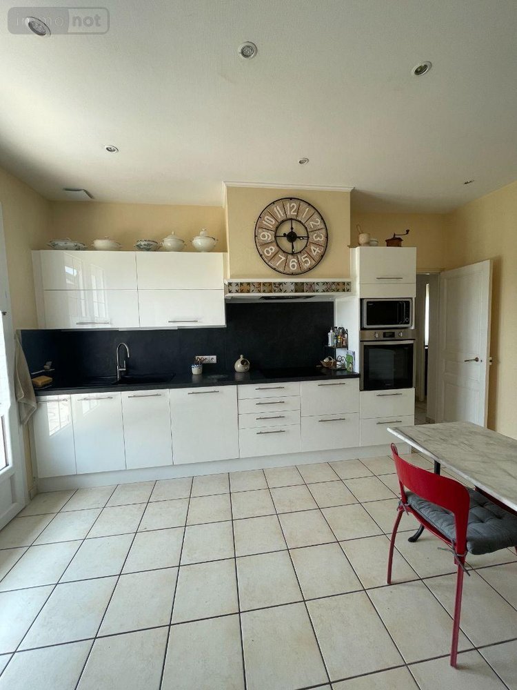 Maison a vendre Buzançais 36500 Indre 220 m2 6 pièces 285000 euros