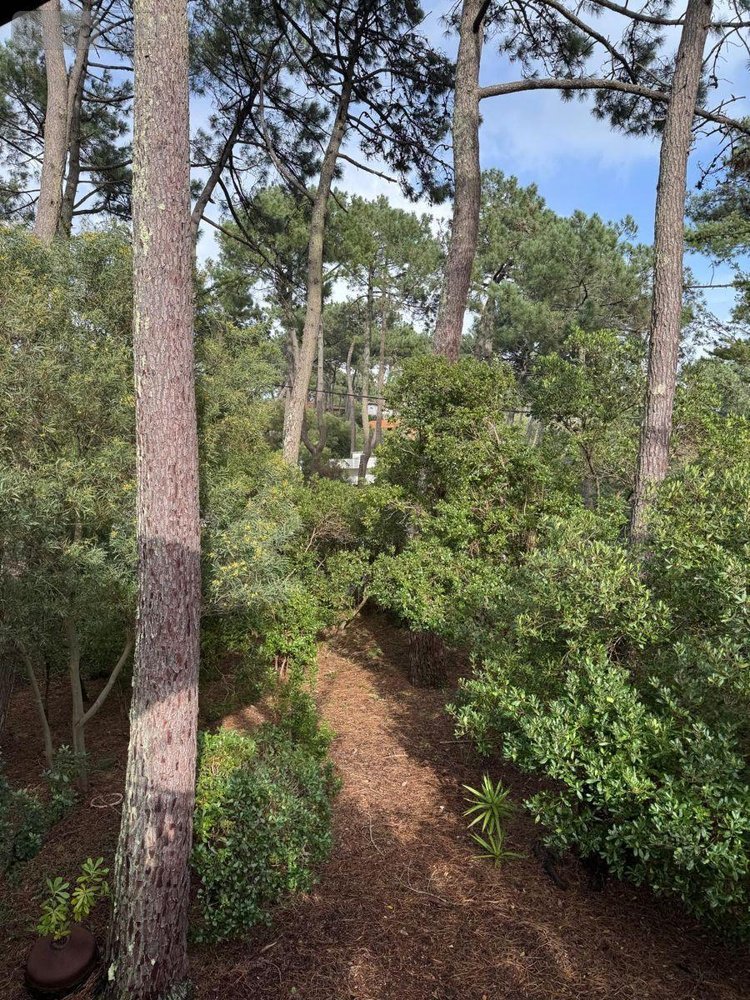 Maison a vendre Lège-Cap-Ferret 33950 Gironde 100 m2 5 pièces 976500 euros