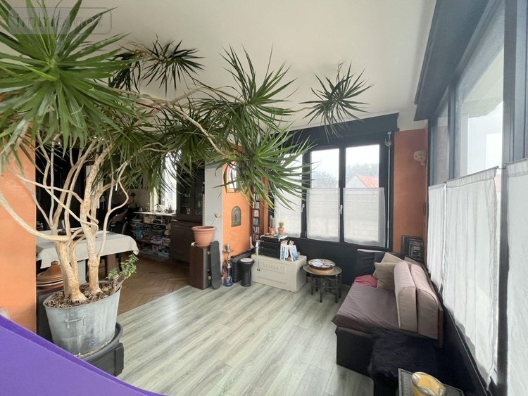 Maison a vendre Colembert 62142 Pas-de-Calais 178 m2 4 pièces 292950 euros