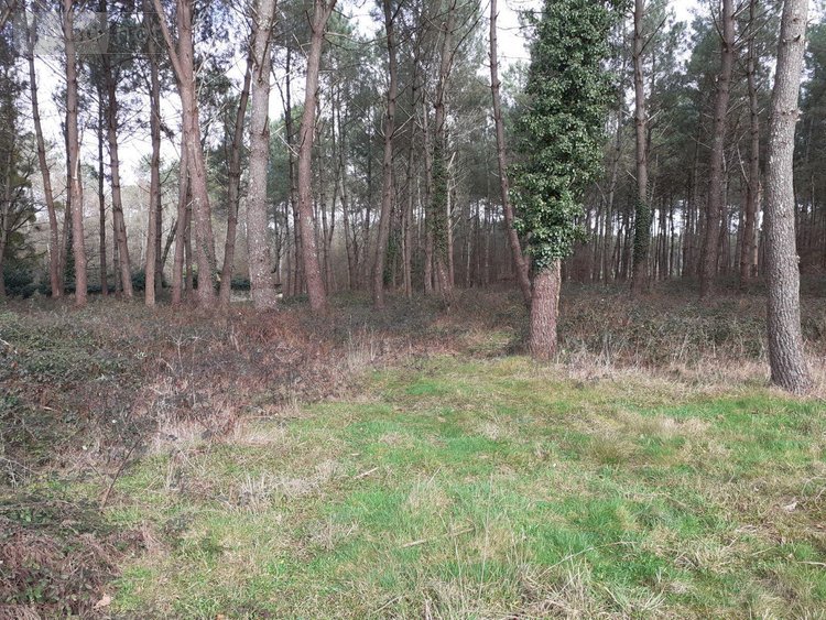 Maison a vendre Saint-Biez-en-Belin 72220 Sarthe 107 m2 5 pièces 210000 euros