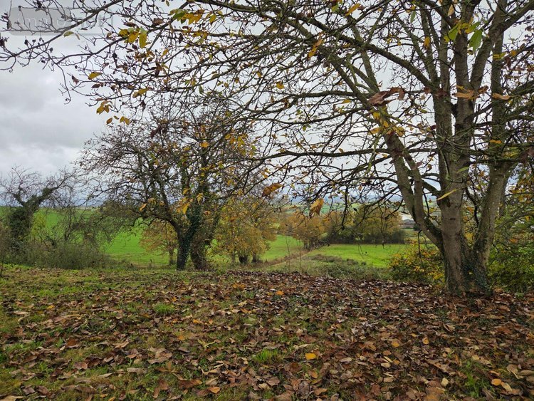 Location maison Saint-Aubin-du-Désert 53700 Mayenne 76 m2 6 pièces 490 euros