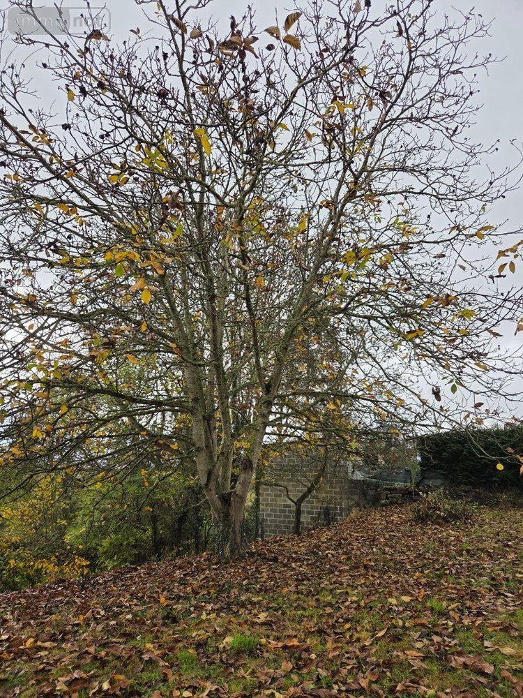 Location maison Saint-Aubin-du-Désert 53700 Mayenne 76 m2 6 pièces 490 euros