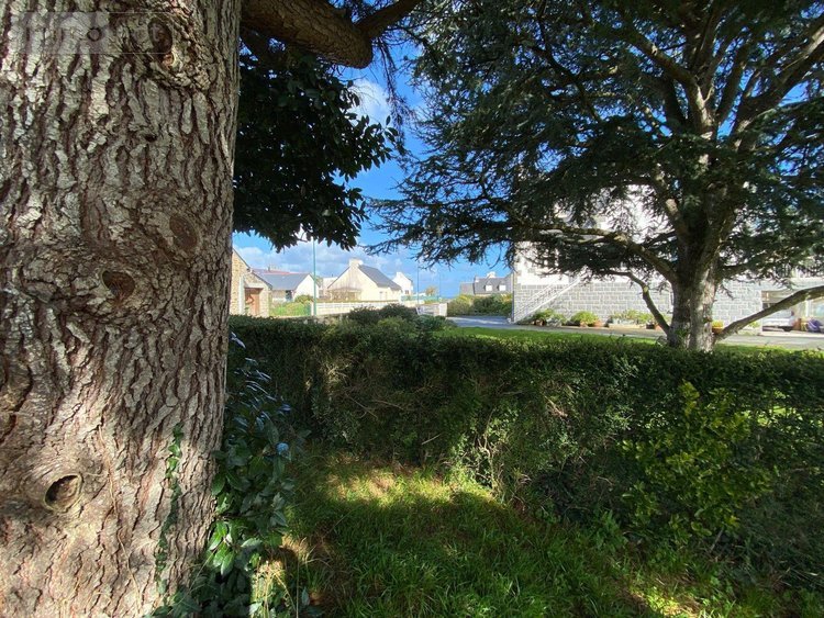 Maison a vendre Tréveneuc 22410 Côtes-d'Armor 82 m2 4 pièces 261600 euros
