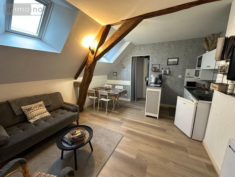 Maison a vendre Montrichard-Val-de-Cher 41400 Loir-et-Cher 354 m2 12 pièces 543957 euros