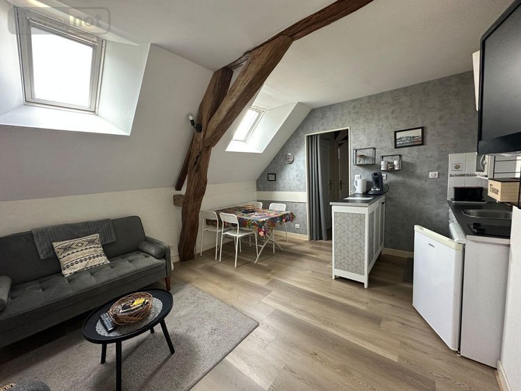 Maison a vendre Montrichard-Val-de-Cher 41400 Loir-et-Cher 354 m2 12 pièces 543957 euros