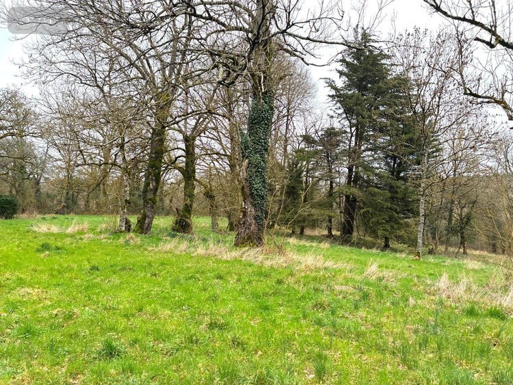 Maison a vendre Baulon 35580 Ille-et-Vilaine 145 m2 3 pièces 217980 euros