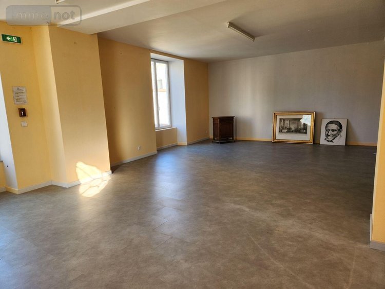 Immeuble a vendre La Flèche 72200 Sarthe 168 m2  180200 euros