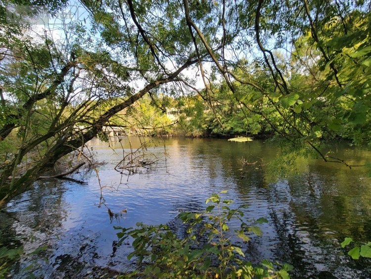 Terrains de loisirs bois etangs a vendre Châteaudun 28200 Eure-et-Loir 6010 m2  18000 euros