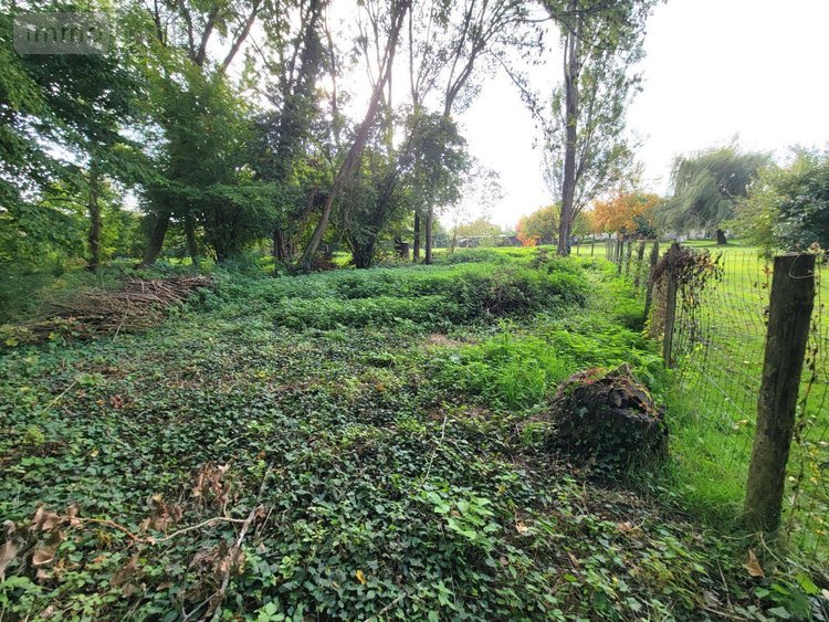 Terrains de loisirs bois etangs a vendre Châteaudun 28200 Eure-et-Loir 6010 m2  18000 euros