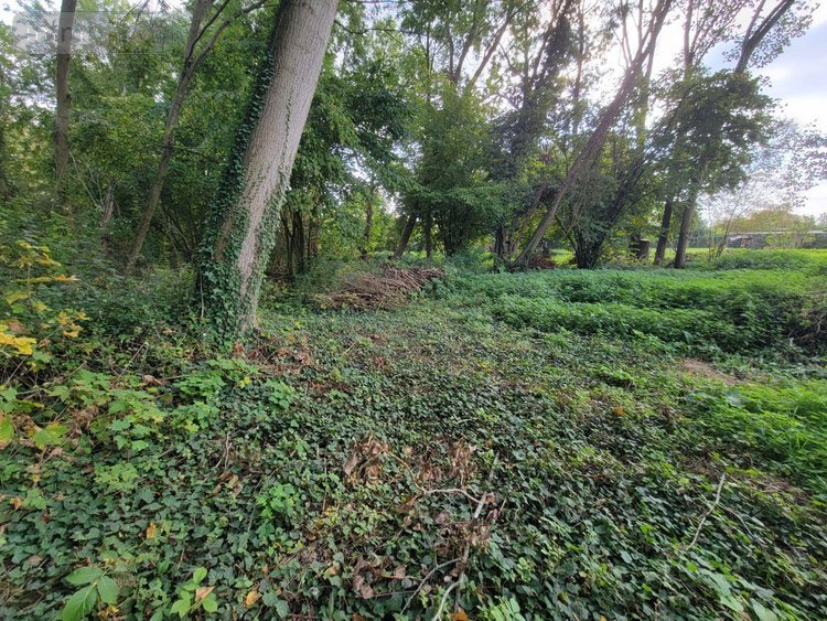 Terrains de loisirs bois etangs a vendre Châteaudun 28200 Eure-et-Loir 6010 m2  18000 euros