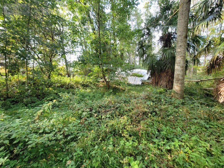 Terrains de loisirs bois etangs a vendre Châteaudun 28200 Eure-et-Loir 6010 m2  18000 euros