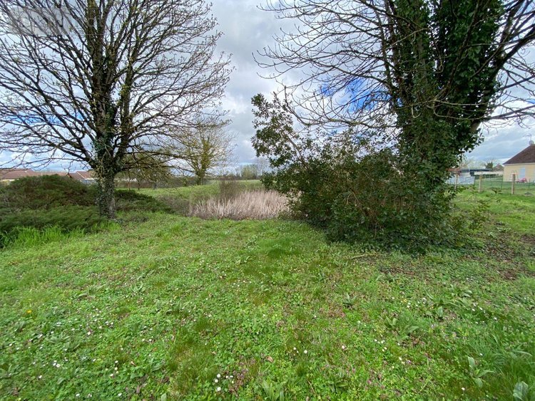 Maison a vendre Argy 36500 Indre 66 m2 2 pièces 44660 euros