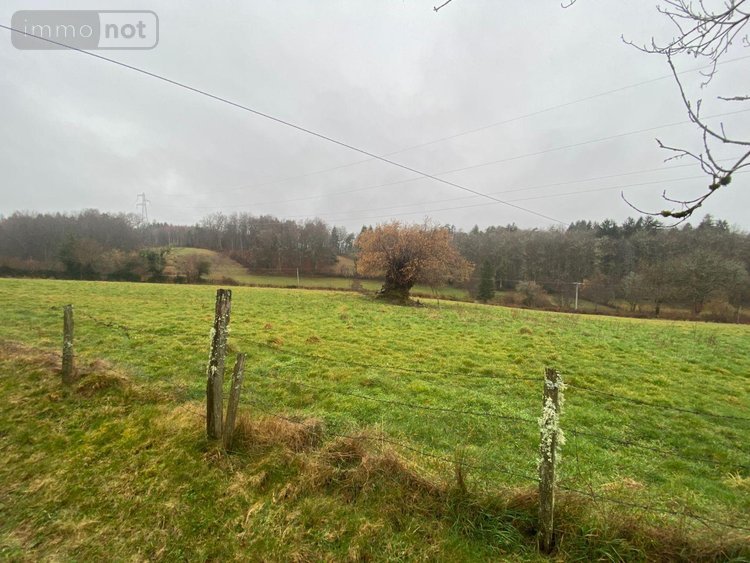 Maison a vendre Pleaux 15700 Cantal 3 pièces 37100 euros