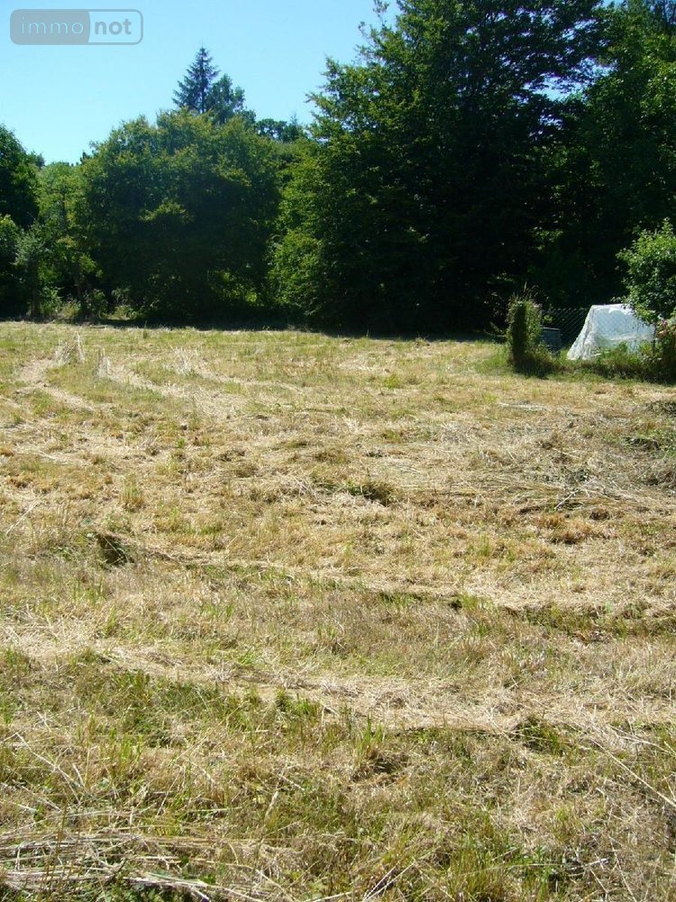 Maison a vendre Mesnil-Roc'h 35720 Ille-et-Vilaine 130 m2 5 pièces 197600 euros